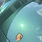 Rivashield COLOR PPF RS055 Tesla Waldgrün
